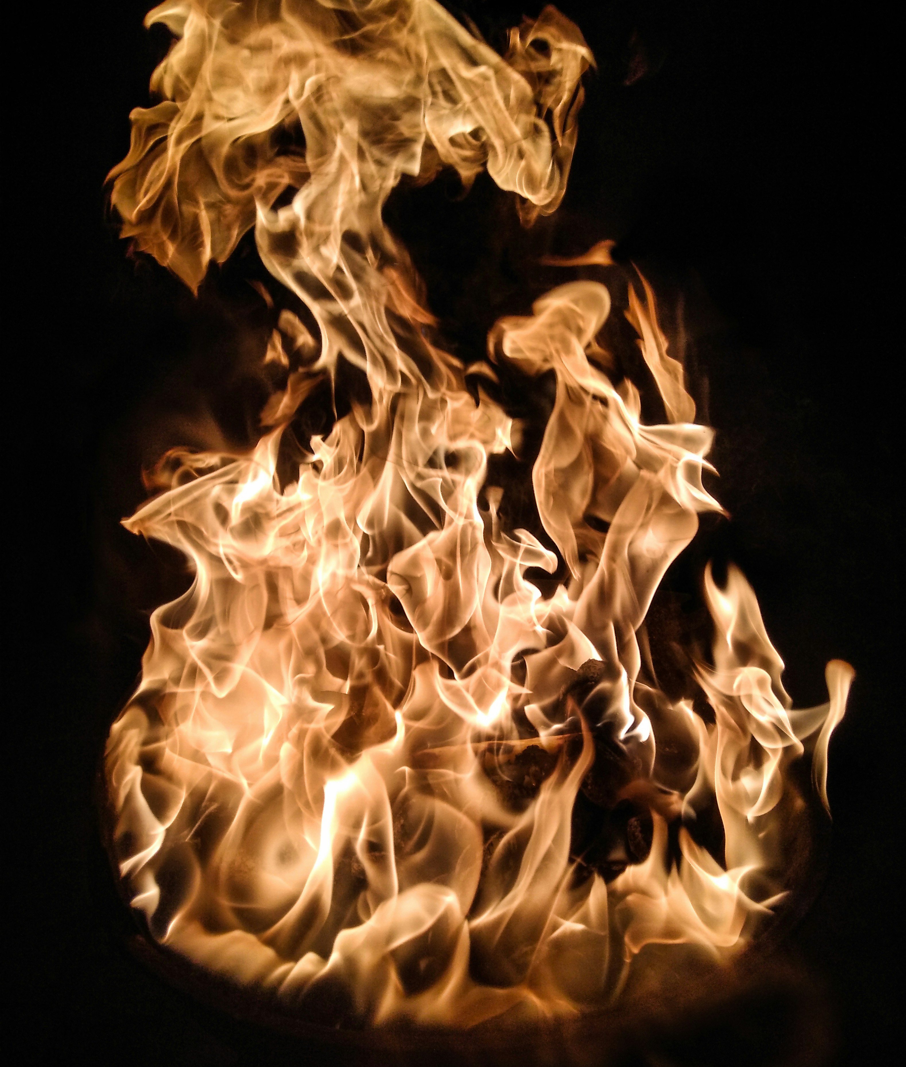 Паймон: король демонов, дарующий знание, власть и искусство